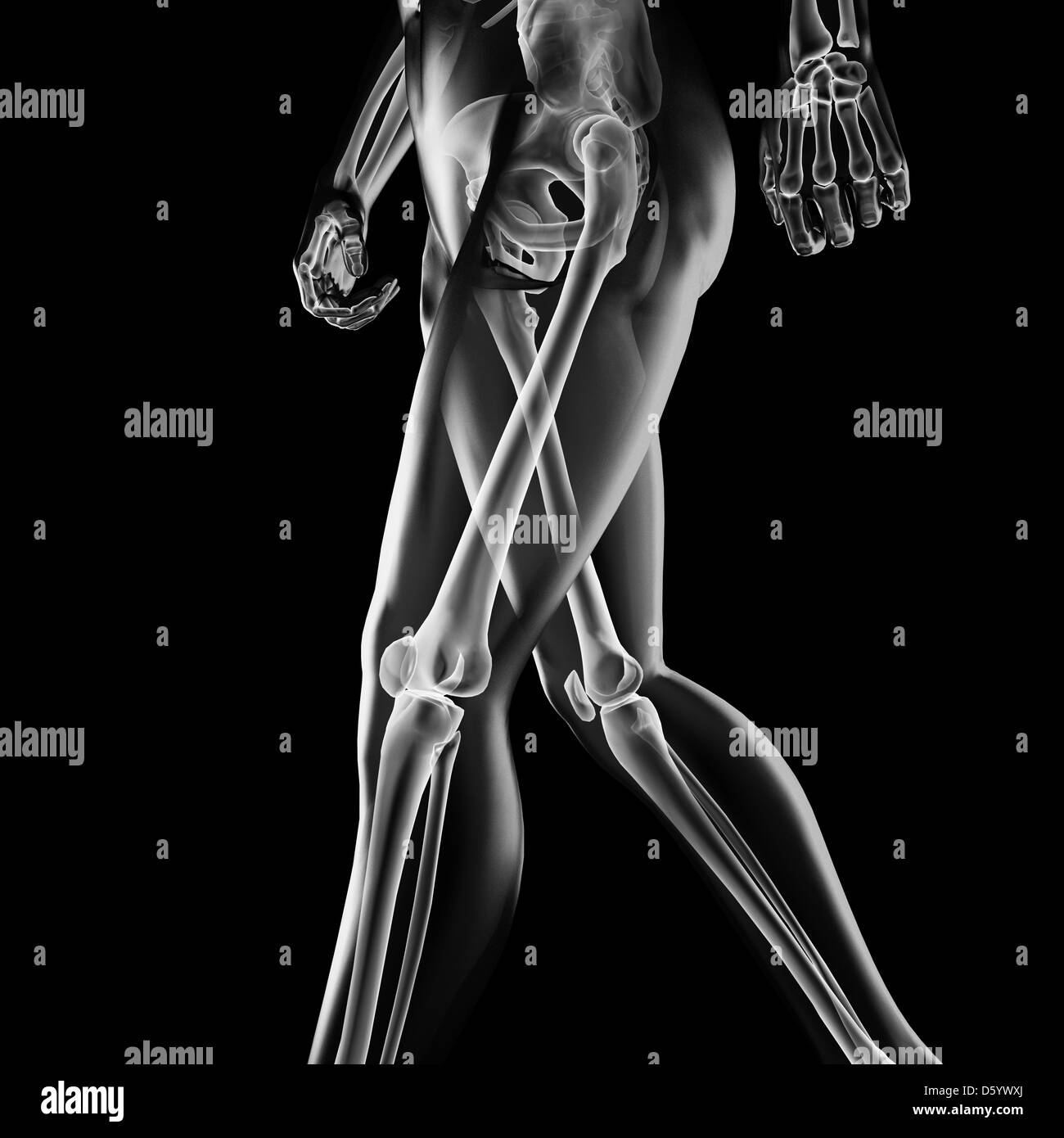 menschlichen Radiographie scan Stockfoto