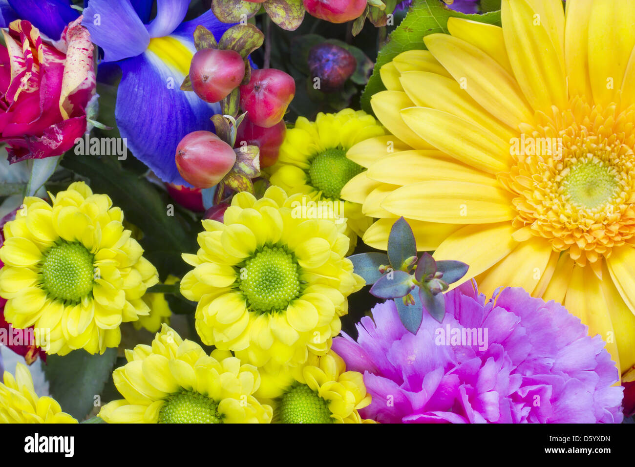 Blumenkarte Stockfoto