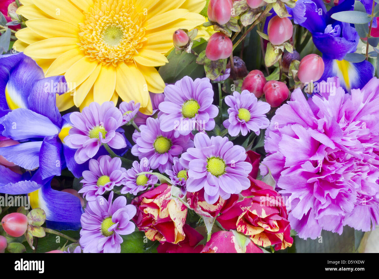 Blumen für die schöne Freundin Stockfoto