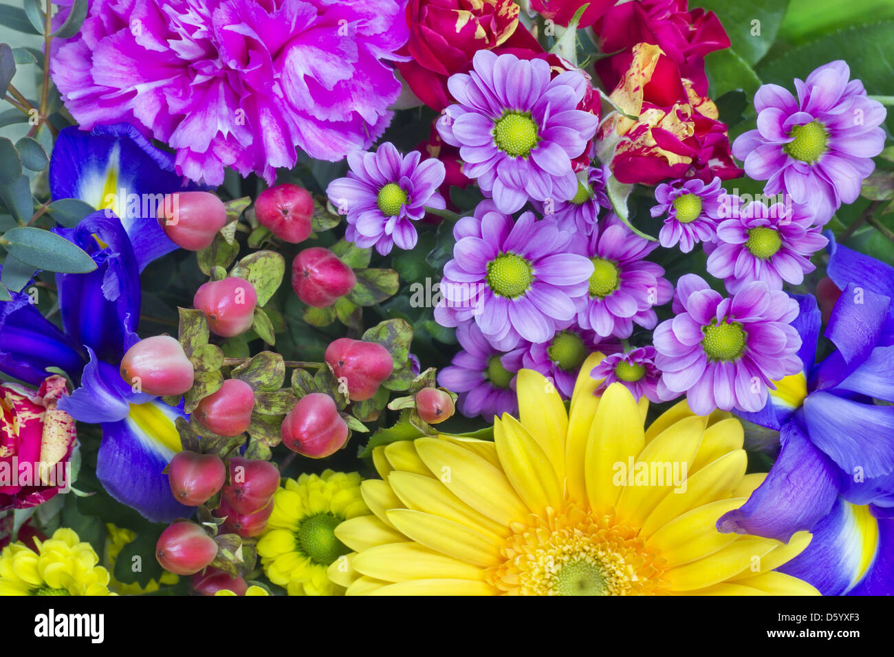 Blumen für die Freundin sprin Stockfoto