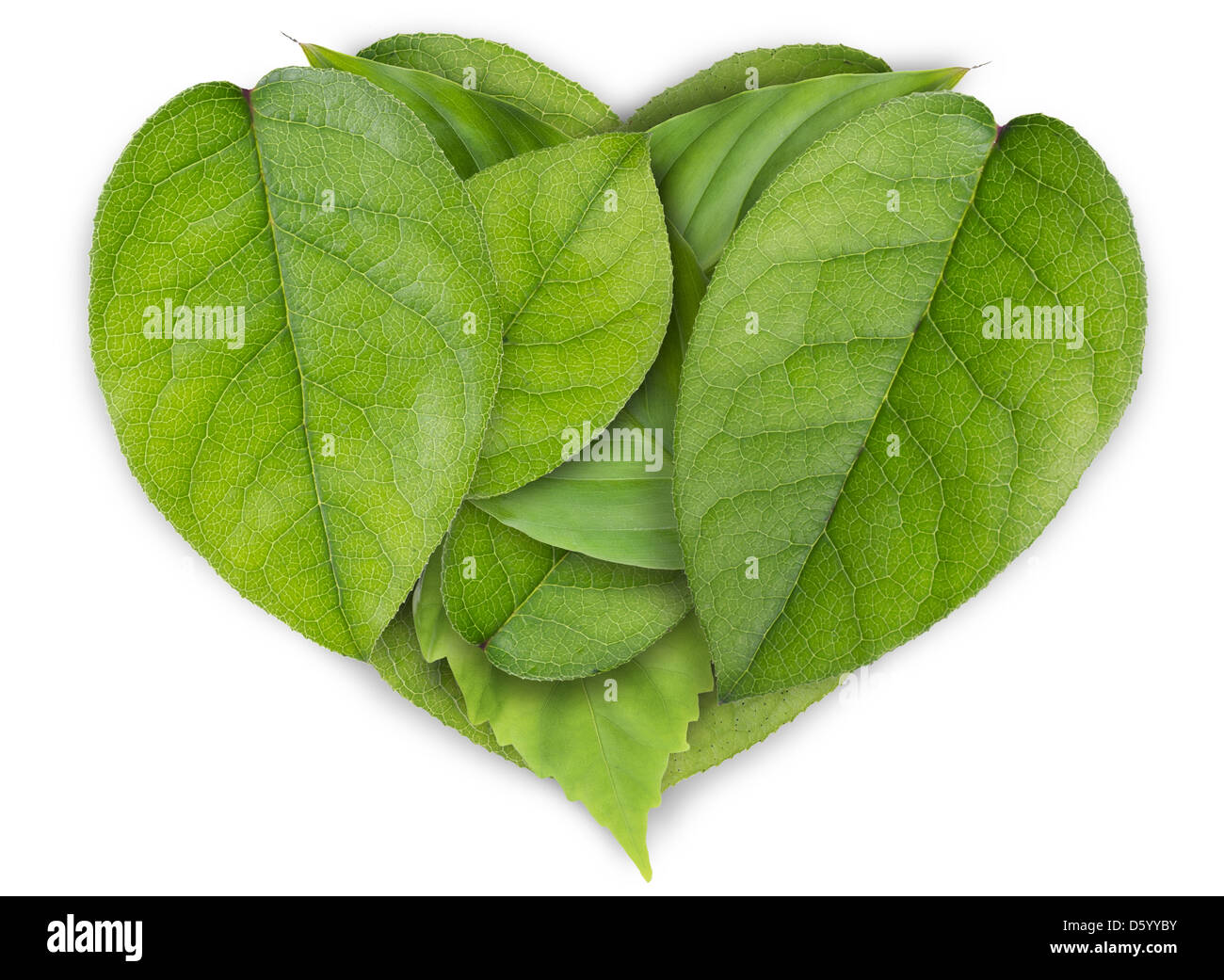 Grüne Blätter Herz Stockfoto