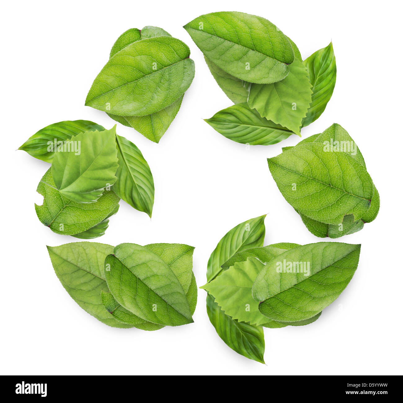 Recyclingsymbol aus Blättern Stockfoto