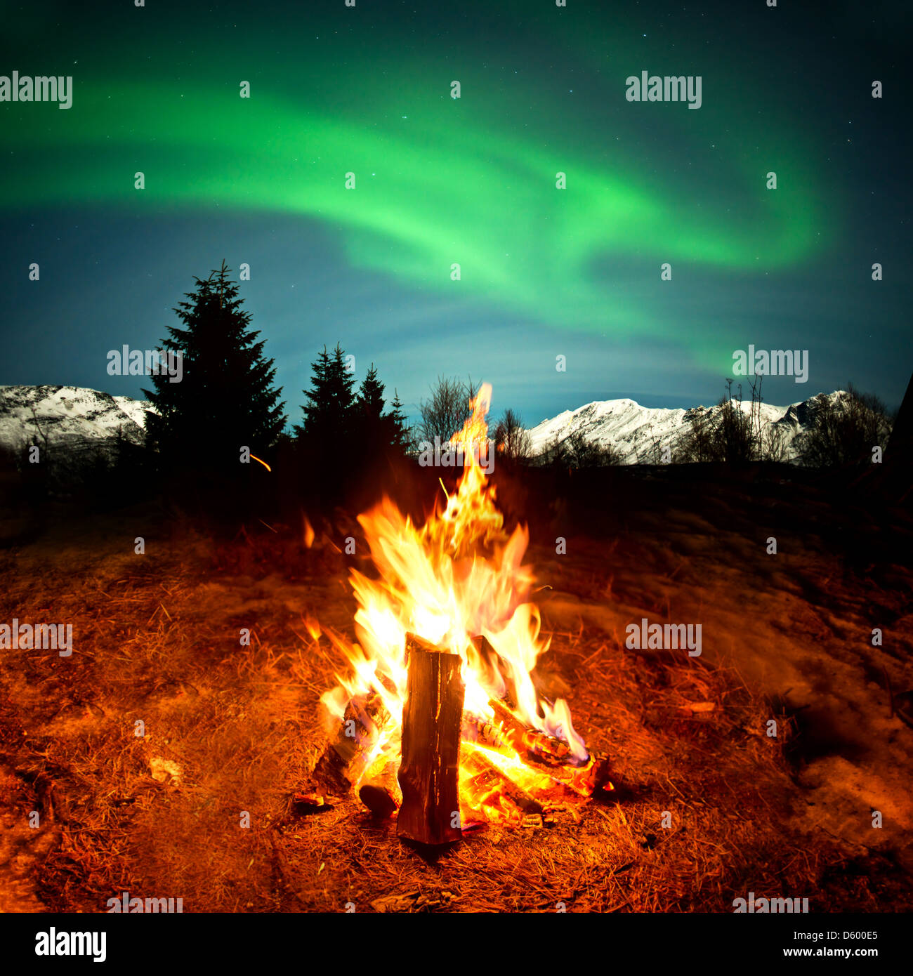 Am warmen Lagerfeuer saßen die Nordlichter beobachten! Stockfoto