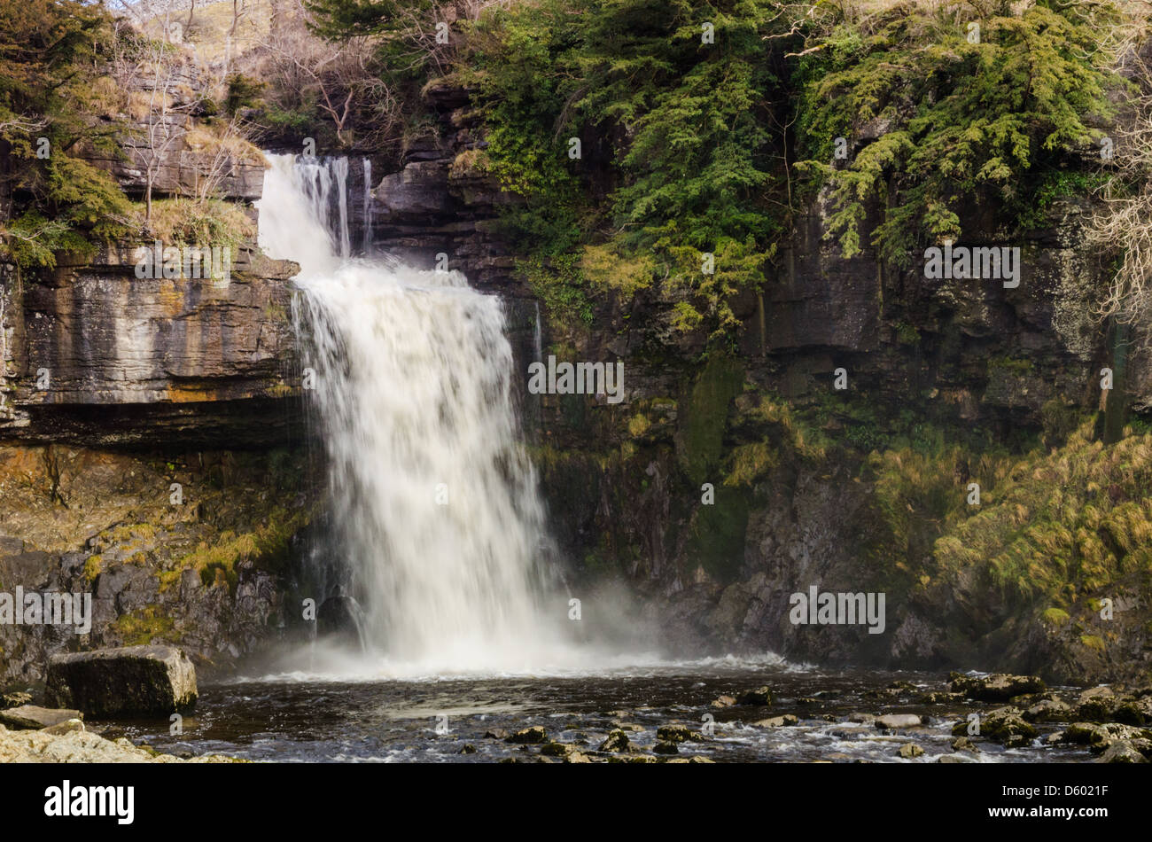 Thornton Kraft am Ingleton in Yorkshire Dales Stockfoto