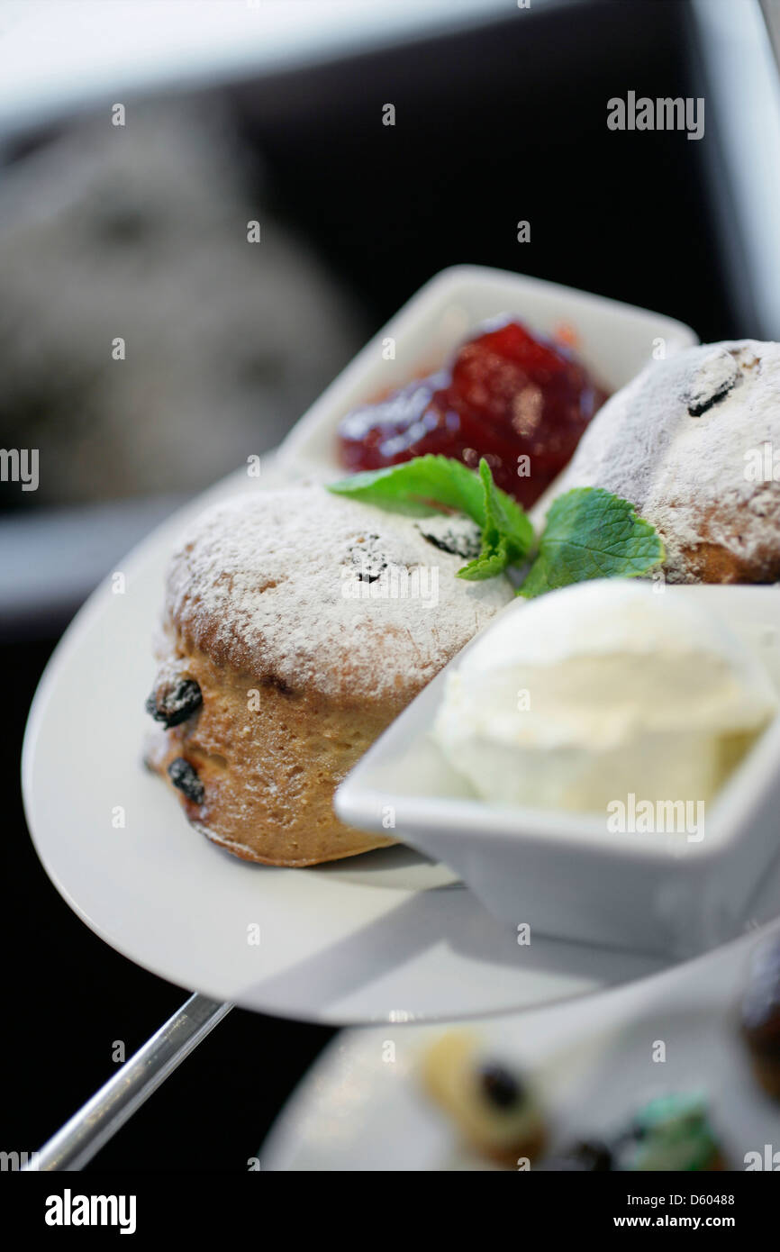 Hausgemachte Scones mit Clotted Cream und Marmelade - Nachmittag Tee auf weißen Platten Stockfoto