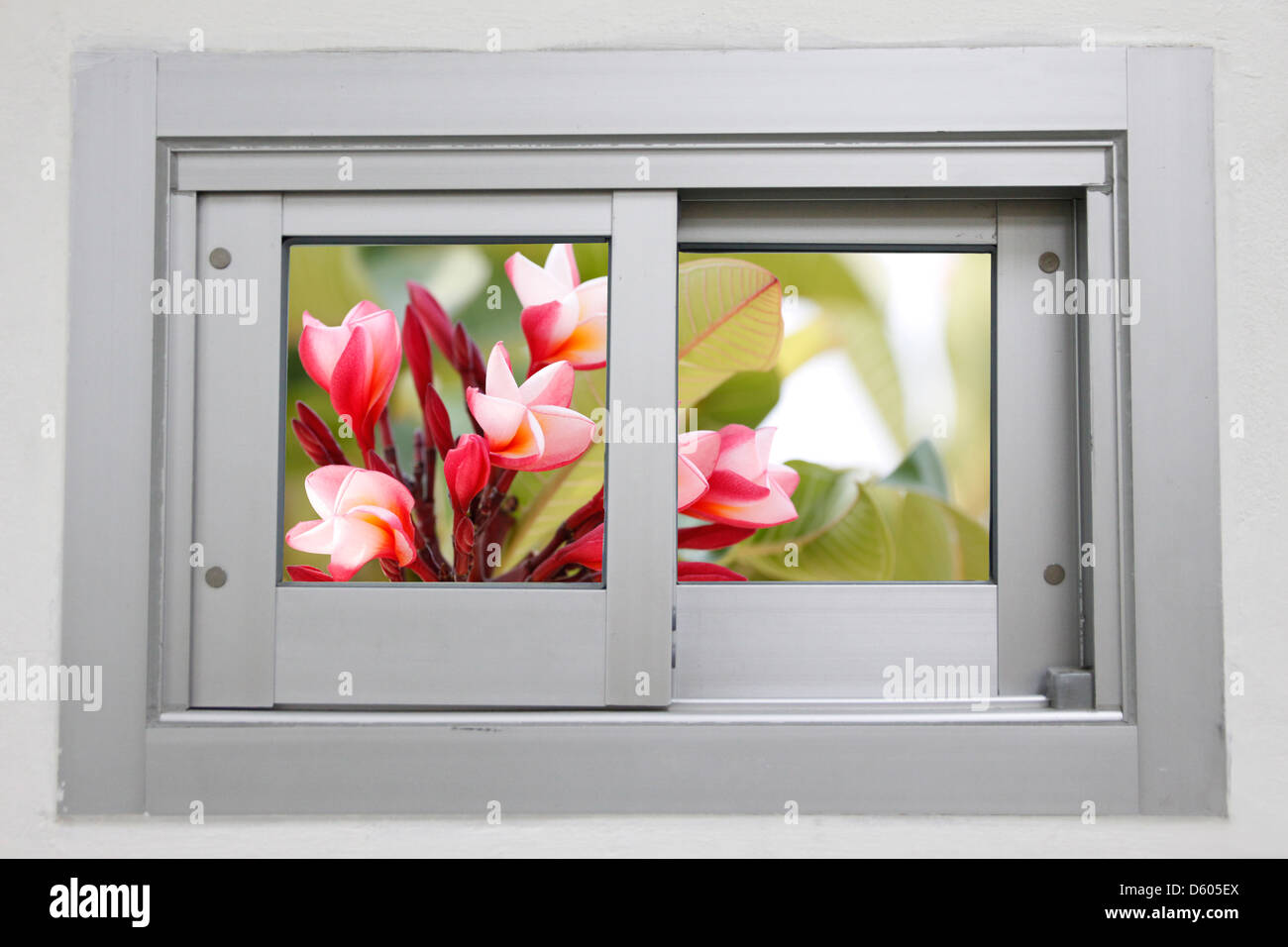 Die Aluminium Schiebetüren, mit zwei Fenstern. Stockfoto