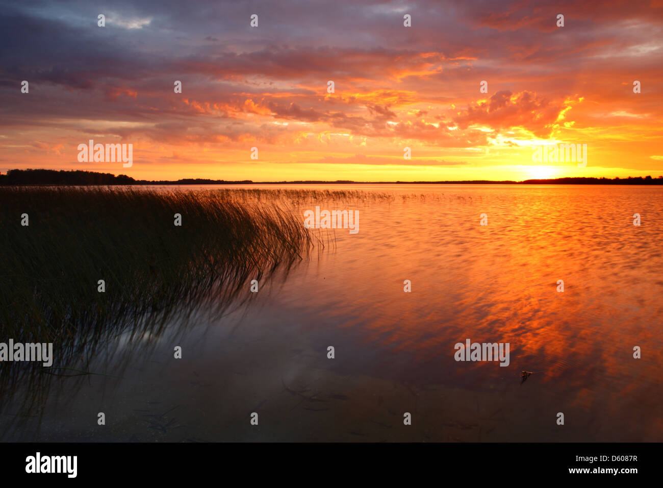 See Saadjärv bei Sonnenuntergang. Estland, Europa Stockfoto