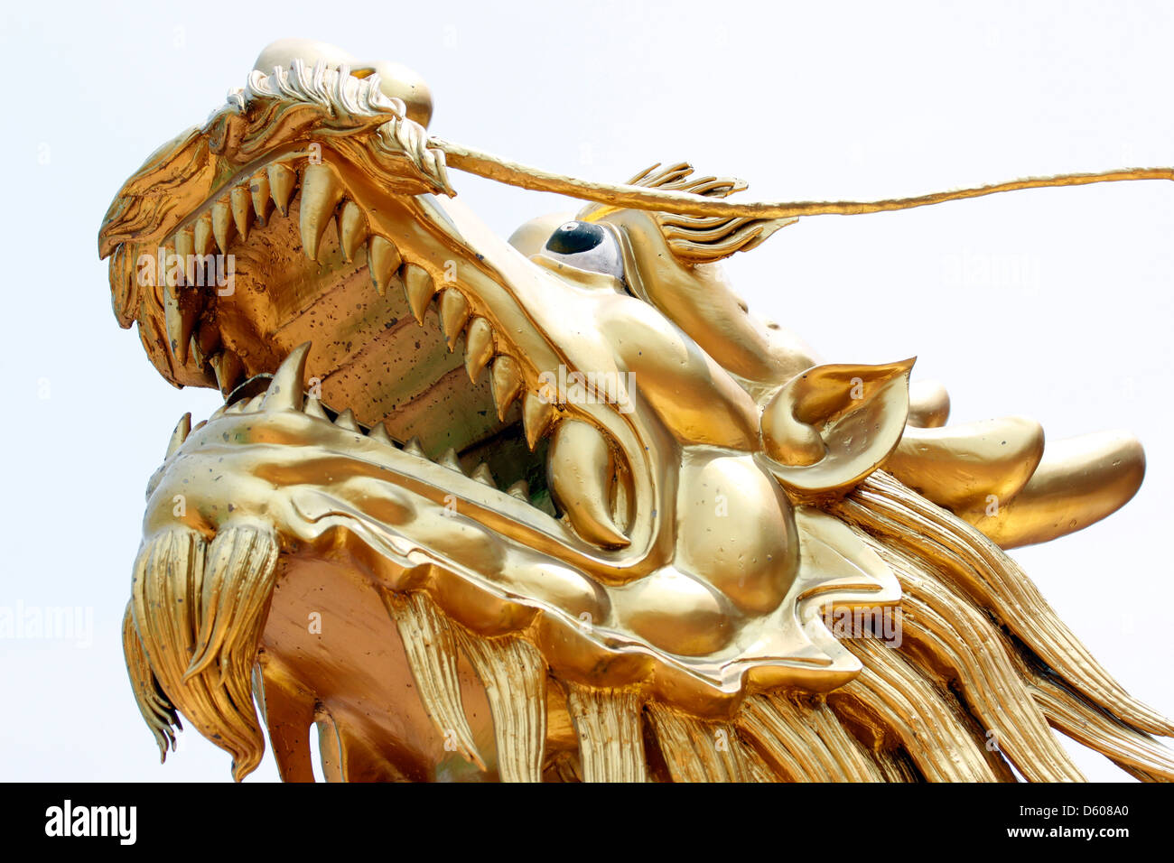 Der goldene Drache in der Wallfahrtskirche in China. Stockfoto