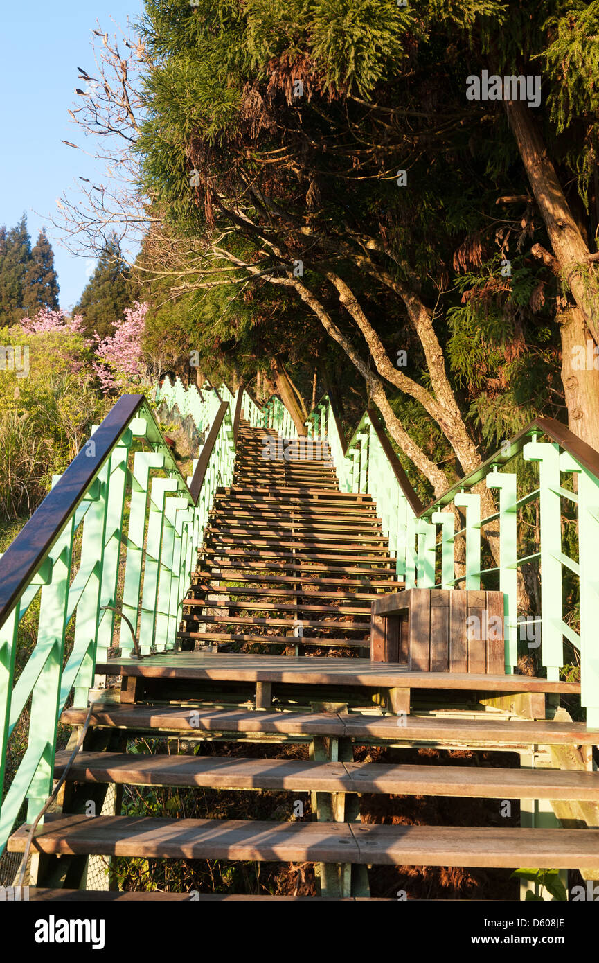 Holztreppen des Parks im Sonnenlicht Stockfoto
