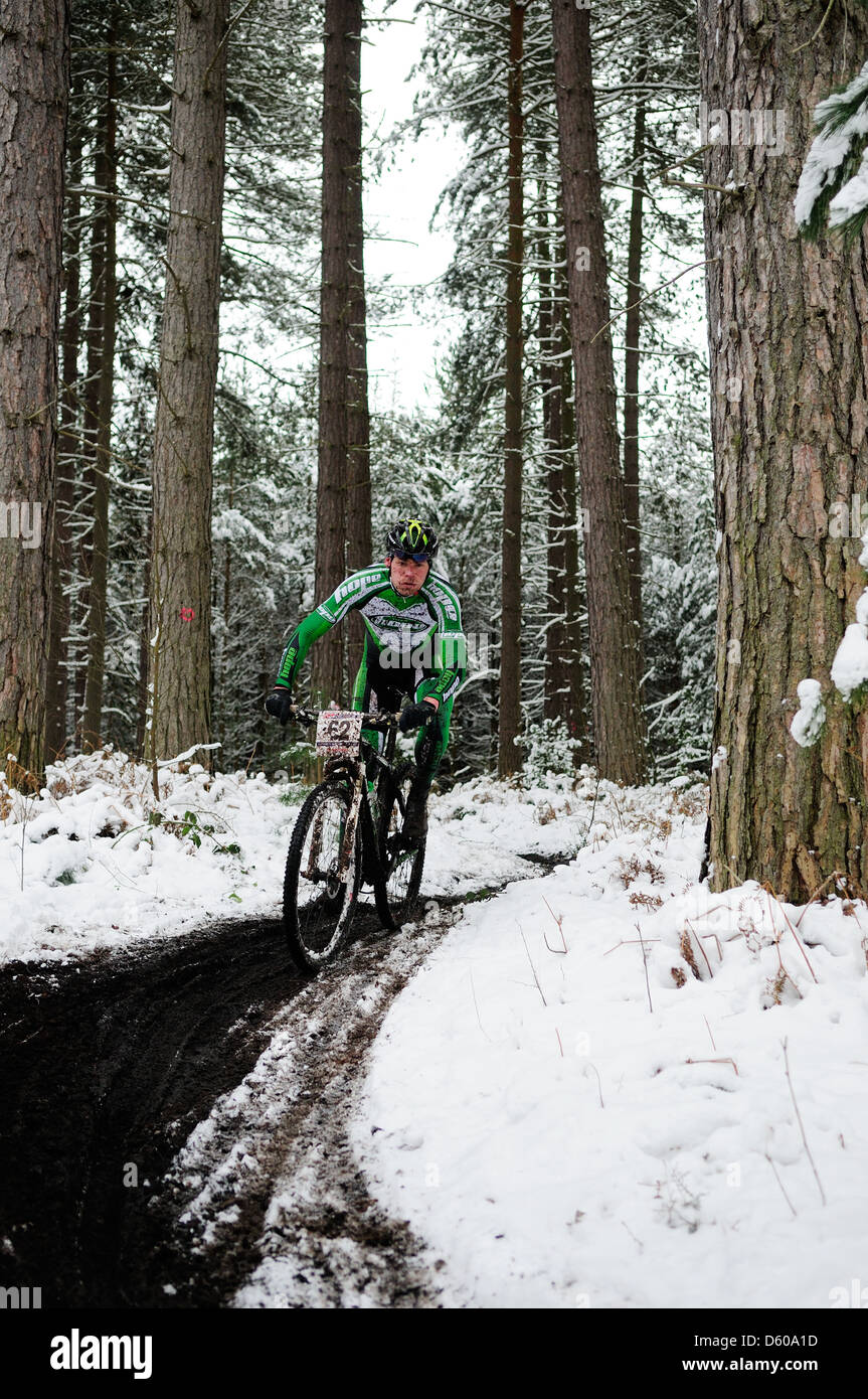 Sherwood Kiefern XC-MTB Runde 1 2013. Stockfoto