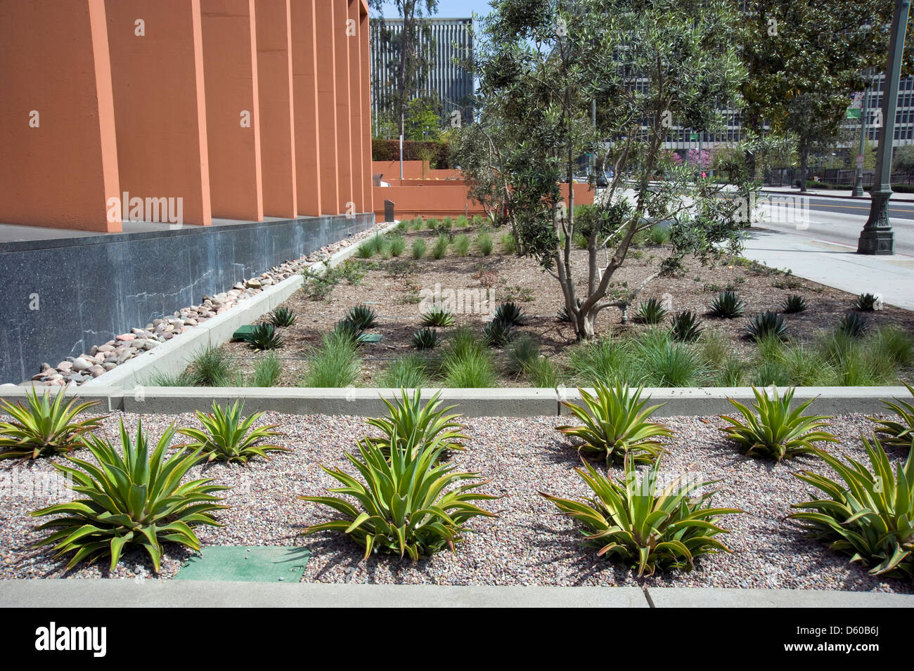 Gartengestaltung in der Innenstadt von Los Angeles, Kalifornien Stockfoto