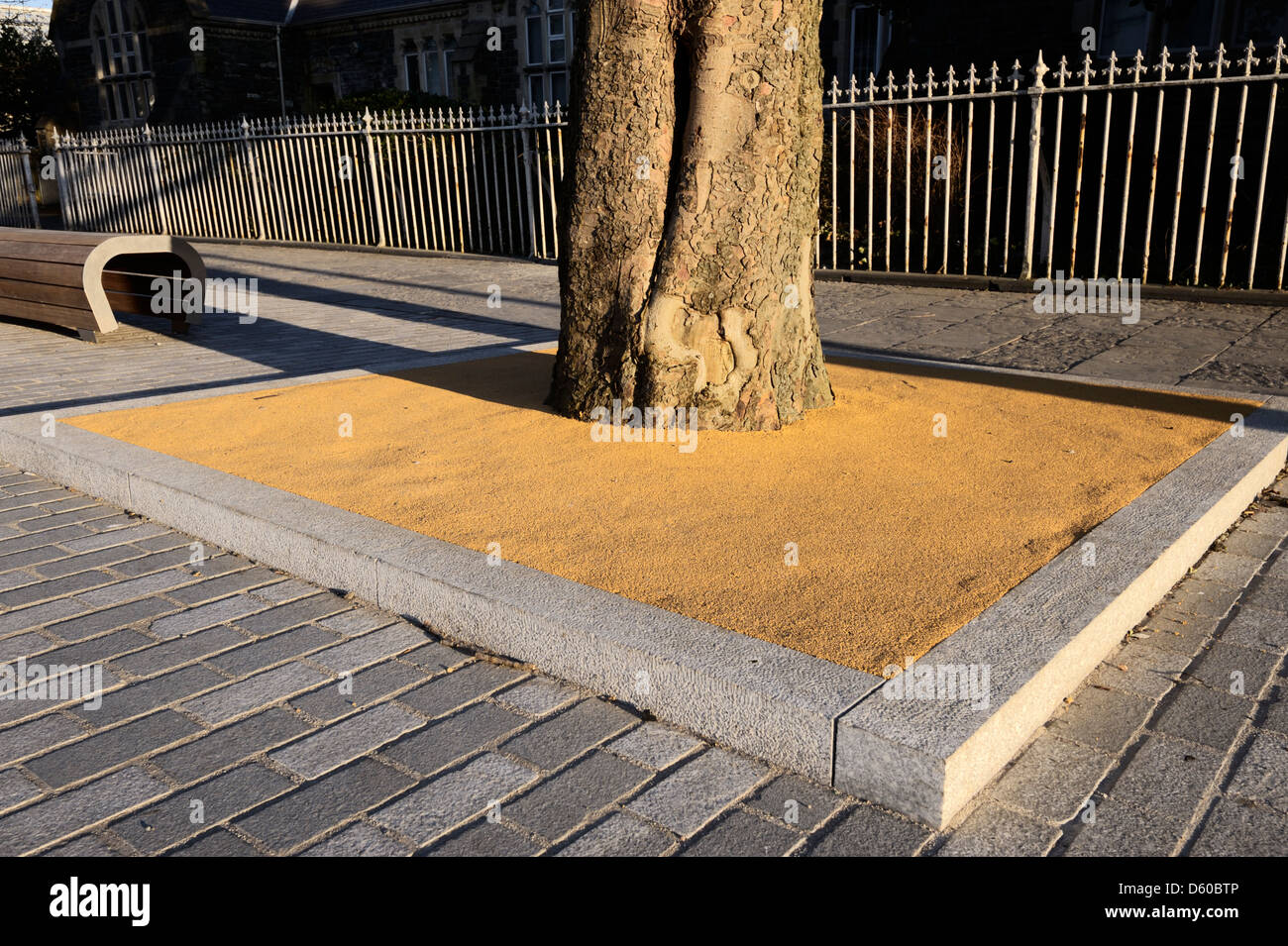 Erhöhten durchlässig Baum Grube um einen Reifen Baum Oberflächenwasser Abfluss reduziert und schützt Baum Wurzeln, Aberystwyth, Wales, UK. Stockfoto