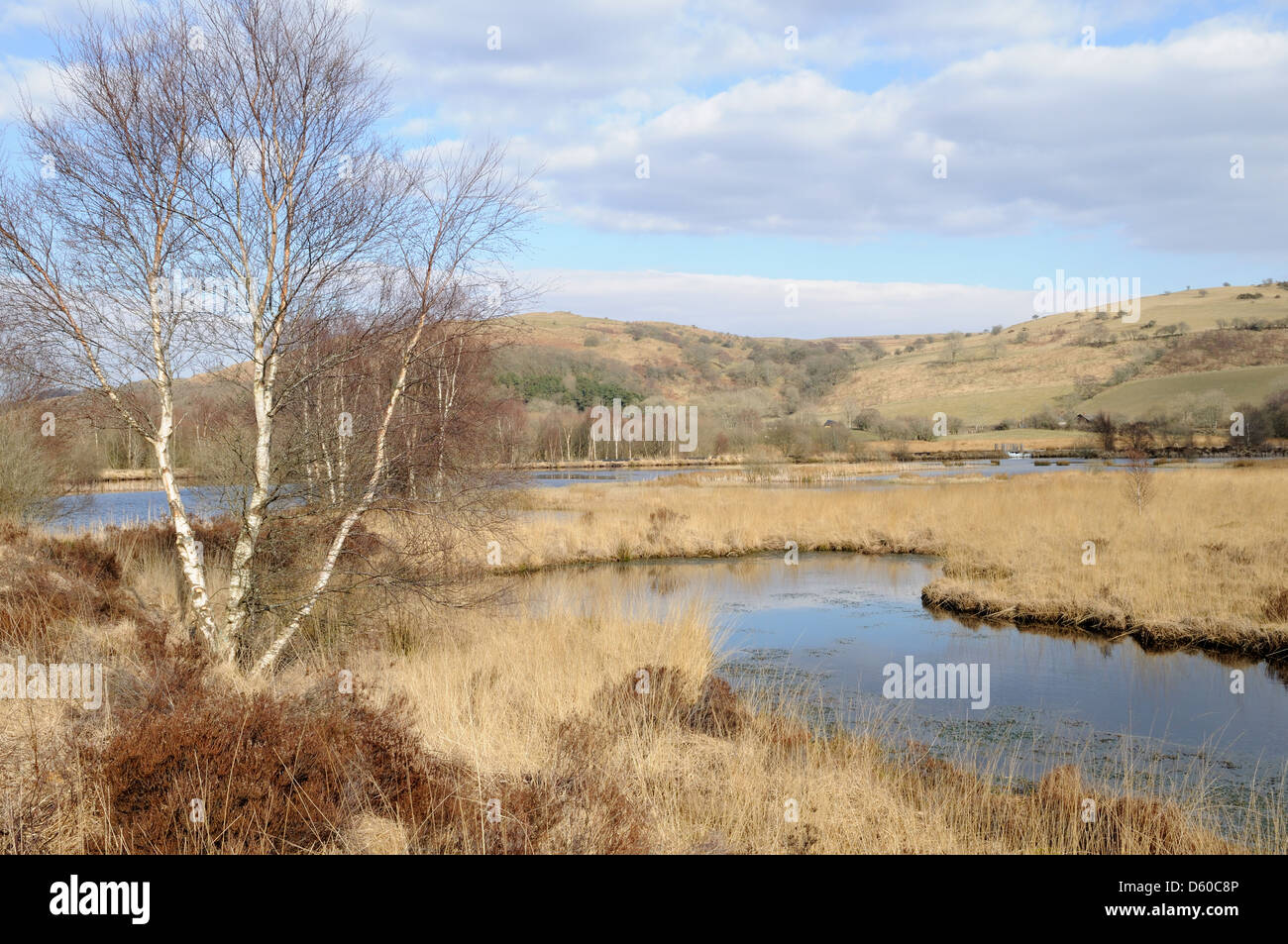 CORS Caron Nature Reserve Tregaron Wales Cymru UK GB Stockfoto