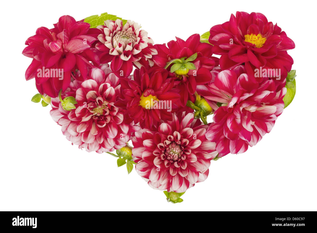 Blutige florale Herz-Konzept Stockfoto