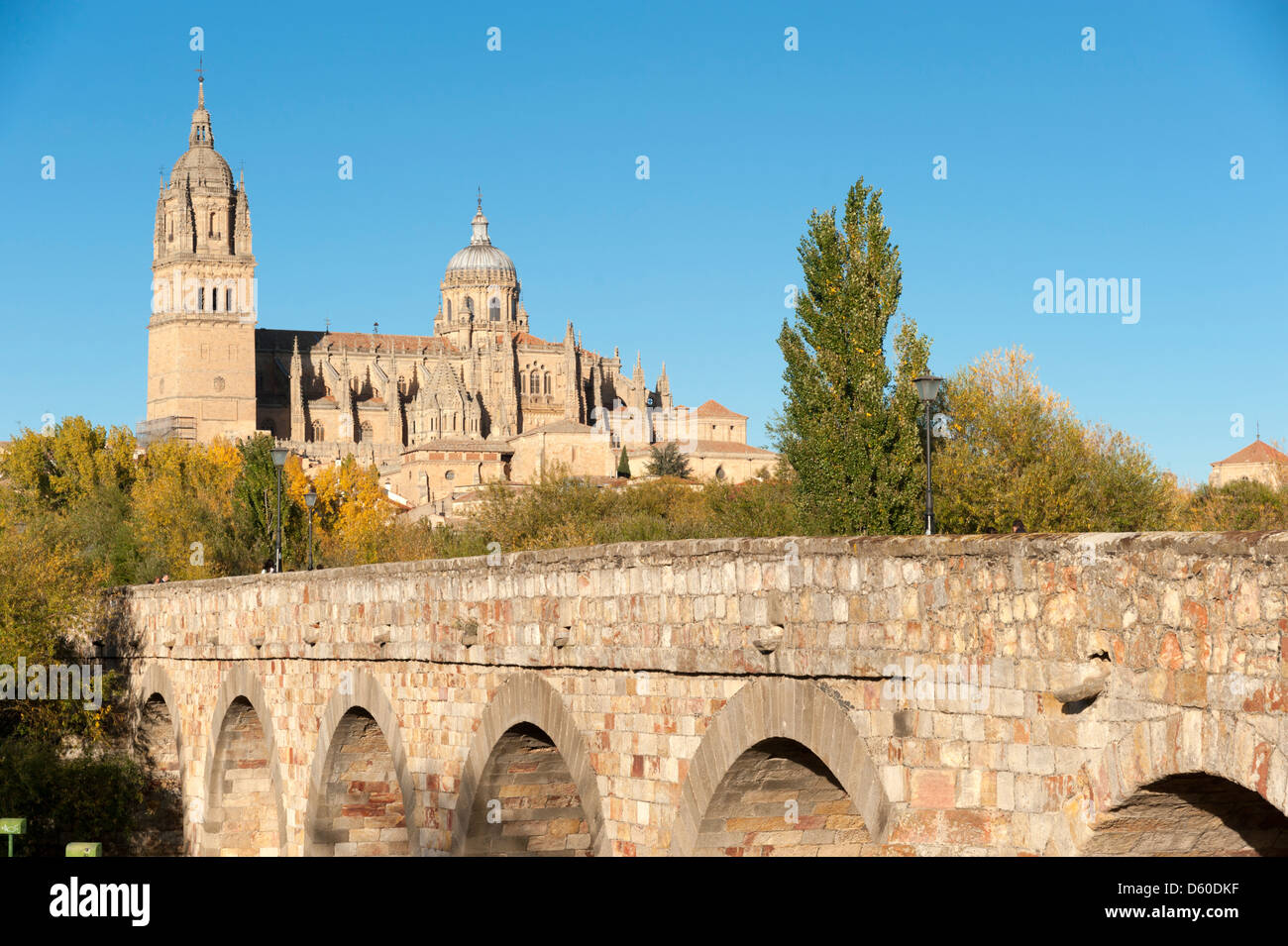 Die neue Kathedrale und die römische Brücke, Spanien Stockfoto