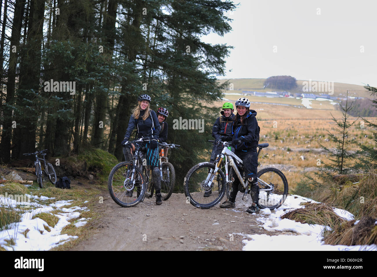 Mountainbiker im Gisburnund Wald Stockfoto