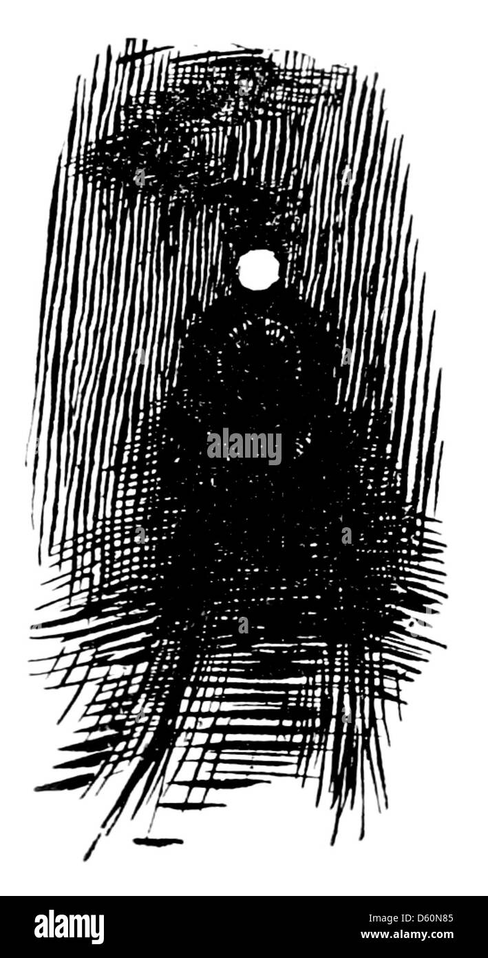 Eine Illustration oder ein Foto aus der Sammlung „Animal Heroes“, die Tiere zeigt, die für ihre bemerkenswerten Qualitäten oder ihren Beitrag zur menschlichen Gesellschaft bekannt sind. Das Bild kann verschiedene heldenhafte Tiere aus verschiedenen historischen Zusammenhängen zeigen. Stockfoto