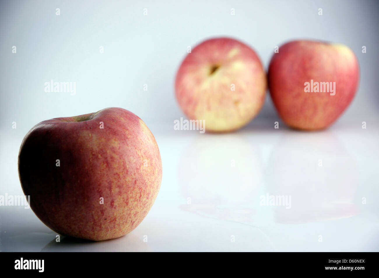 Der apfelrot auf weißem Hintergrund, Apples Fokus im Vordergrund. Stockfoto