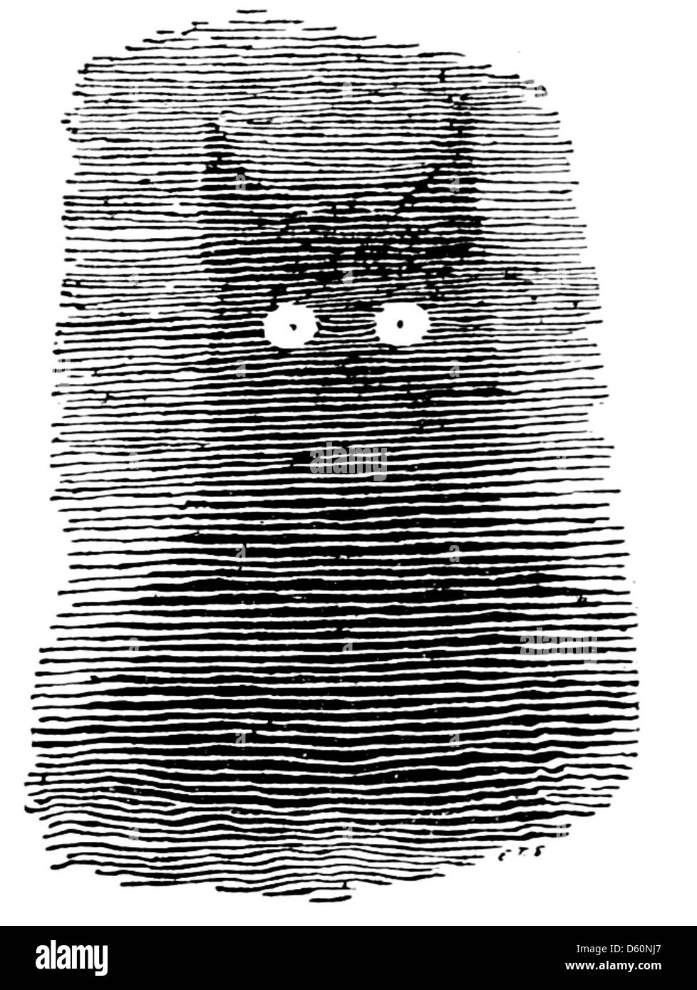 Dieses Bild zeigt wahrscheinlich einen Luchs, eine wilde Katze, die für ihr scharfes Sehvermögen bekannt ist, als Teil einer Sammlung von Tierhelden. Es kann die Intelligenz und die Überlebensfähigkeiten repräsentieren, die diesen Tieren in Folklore oder Geschichten über die bemerkenswerten Wesen der Natur zugeschrieben werden. Stockfoto