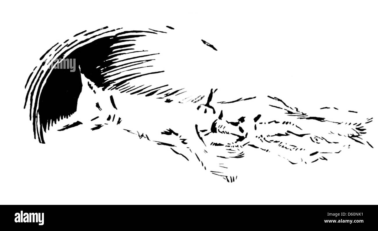 Eine Illustration aus „Animal Heroes“, die einen toten Luchs darstellt und den Mut und das Opfer von Tieren symbolisiert. Das Bild betont den Heldentum der Tiere in Geschichten und zeigt ihre Rolle bei der Bewältigung von Herausforderungen und ihre Verbindung zur Natur. Stockfoto