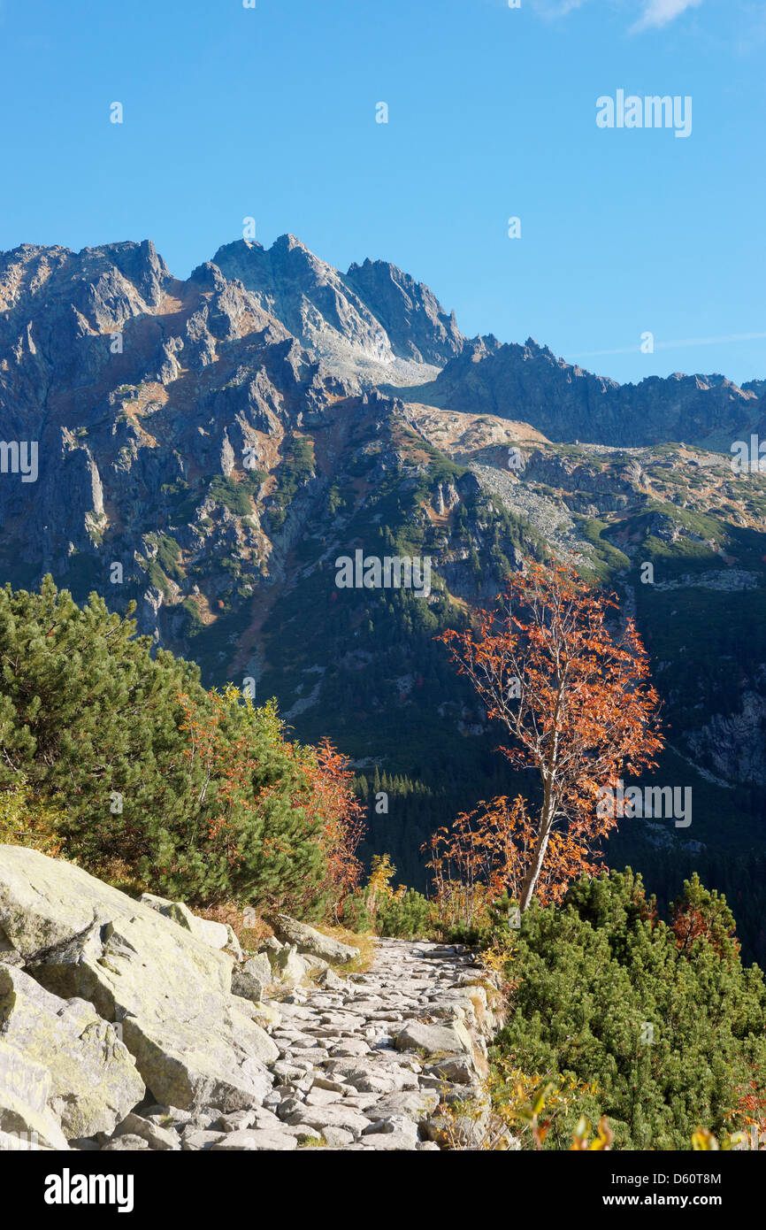 Pfad in der Tatra-Nationalpark, Slowakei. Über Mengusovska Dolina, in der Nähe von Strbske Pleso Stockfoto