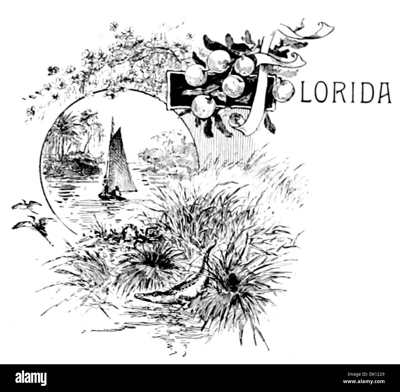 Ein 1890 erschienener Reiseführer mit dem Titel „A Handbook of the South“ über Florida, der detaillierte Beschreibungen der Geographie, des Tourismus und der bedeutenden Sehenswürdigkeiten des Bundesstaates bietet. Der Reiseführer diente Reisenden, die im späten 19. Jahrhundert Ziele im Süden der USA erkunden wollten, als Informationsquelle. Stockfoto