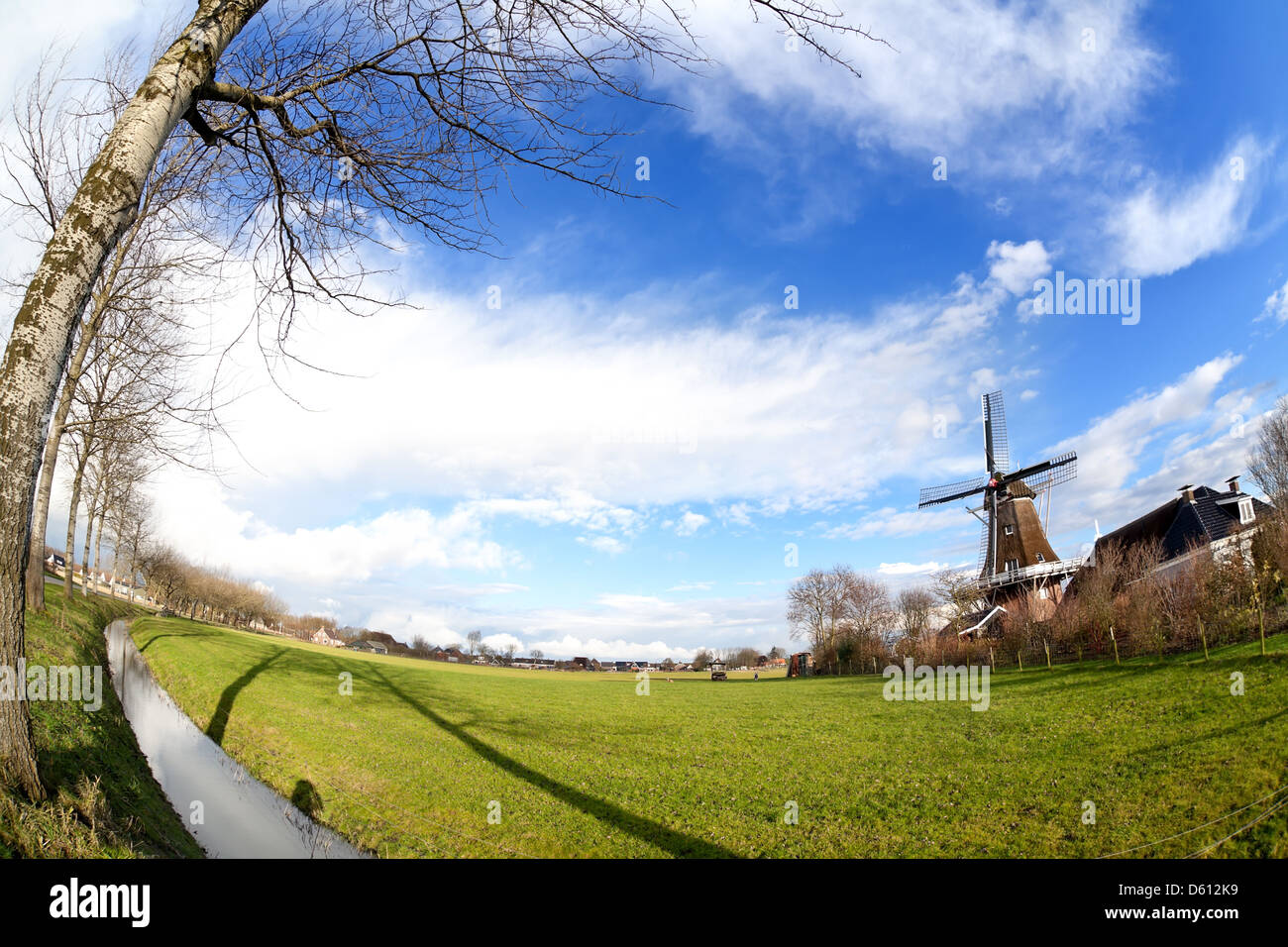 Holländische Windmühle auf der grünen Weide Stockfoto