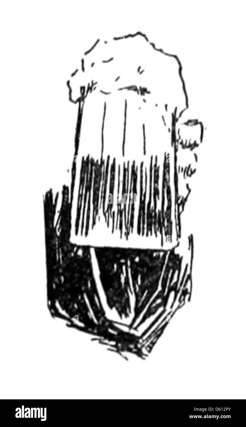 Dieses Bild zeigt ein traditionelles französisches Bier stein, oft aufwändig gestaltet und zum Trinken von Bier verwendet. Biersteine waren in der europäischen Kultur beliebt, insbesondere in Deutschland und Frankreich, und dienten oft als funktionale und dekorative Gegenstände. Stockfoto