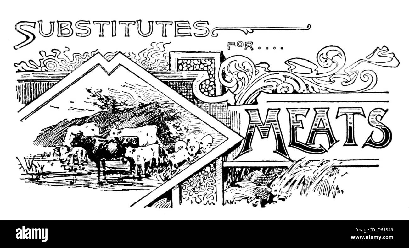 Dieses Kochbuch von 1899 bietet praktische Ratschläge zur Zubereitung von Mahlzeiten und bietet Ersatz für Fleisch, das auf die Bedürfnisse und Vorlieben der damaligen Zeit zugeschnitten ist. Es umfasst eine Reihe von Rezepten und Kochtechniken, um Heimköchen zu helfen. Stockfoto