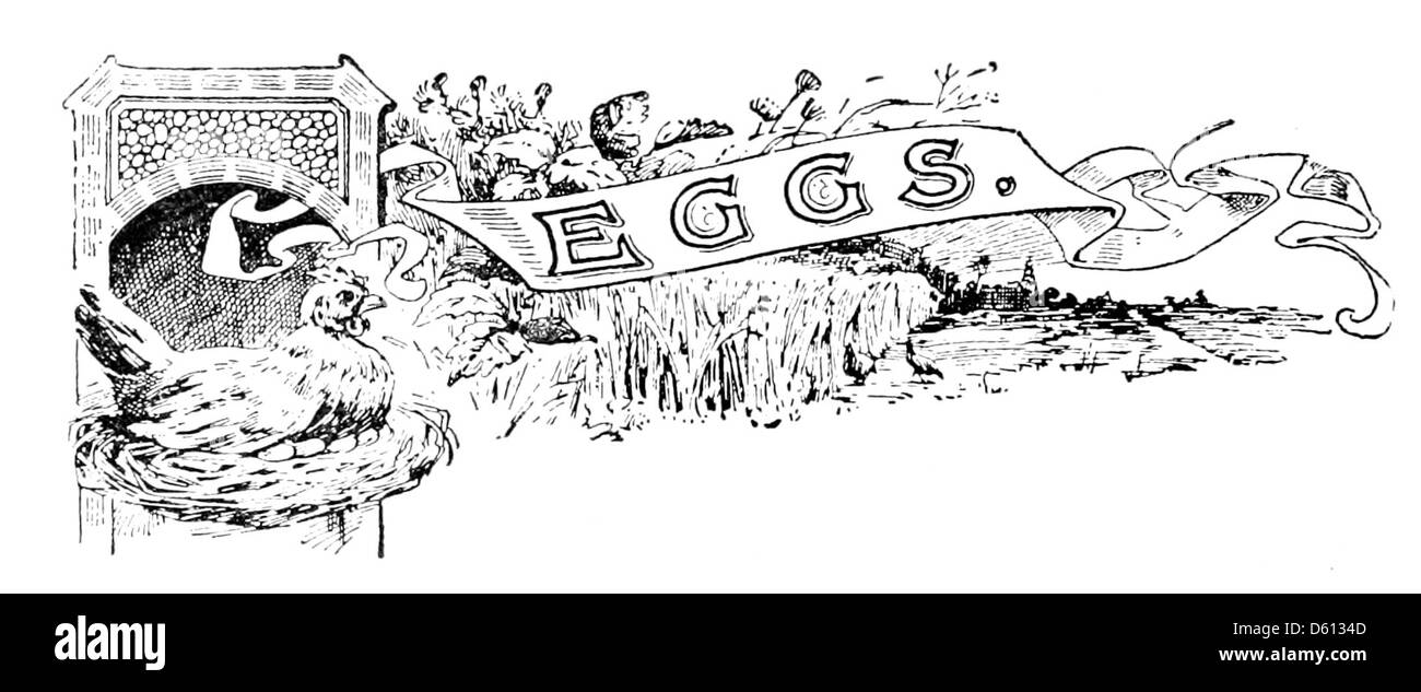 Ein Bild aus „A Friend in the Kitchen“ (1899), einem Kochbuch, das praktische Tipps zum Kochen bietet, einschließlich eines Schwerpunkts auf Rezepte auf Ei-Basis. Das Buch bietet kulinarische Techniken und Rezepte für den Hauskoch während der Jahrhundertwende. Stockfoto