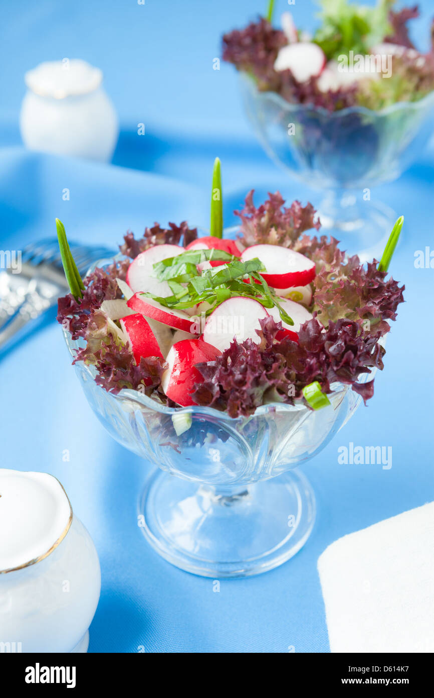 Frischer Salat mit Radieschen und Salat, Nahaufnahme Stockfoto