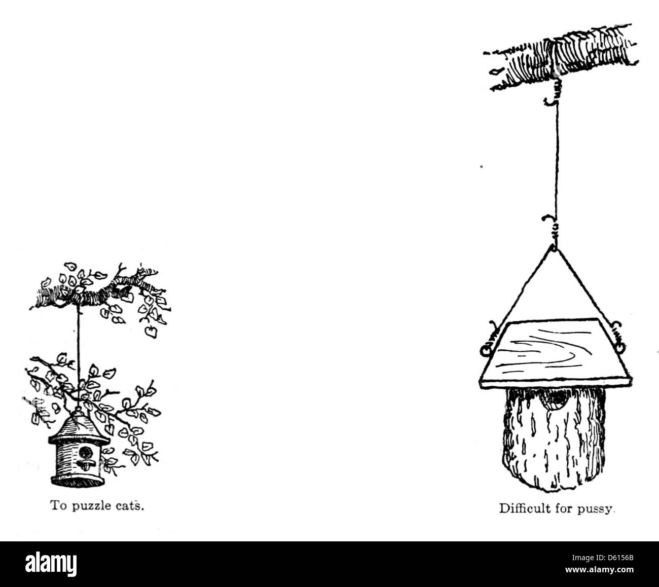 Diese Publikation aus dem Jahr 1916 untersucht die Rolle von Hauskatzen bei der Bekämpfung von Schädlingen und deren Auswirkungen auf Wildtiere. Es enthält Informationen über Vogelhäuser als Möglichkeit, die Katzenpopulation zu verwalten und Schäden für lokale Ökosysteme zu minimieren. Stockfoto