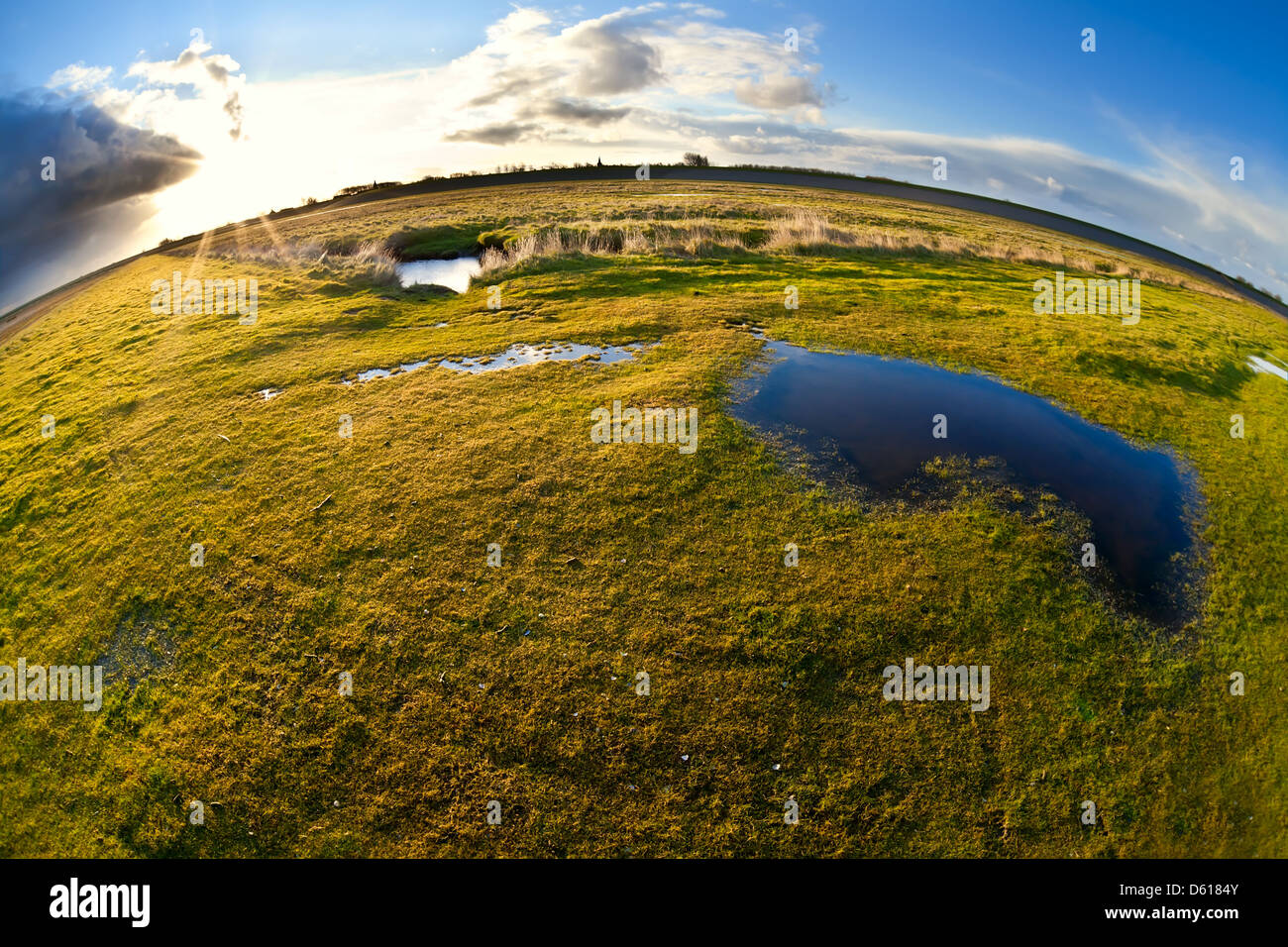 Teich, Weide und Sonne über fisheye view Stockfoto