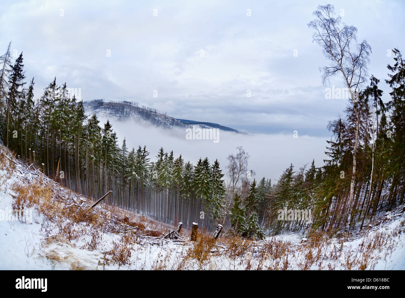 Harzer Berge im Winter, Fischaugen Ansicht Stockfoto