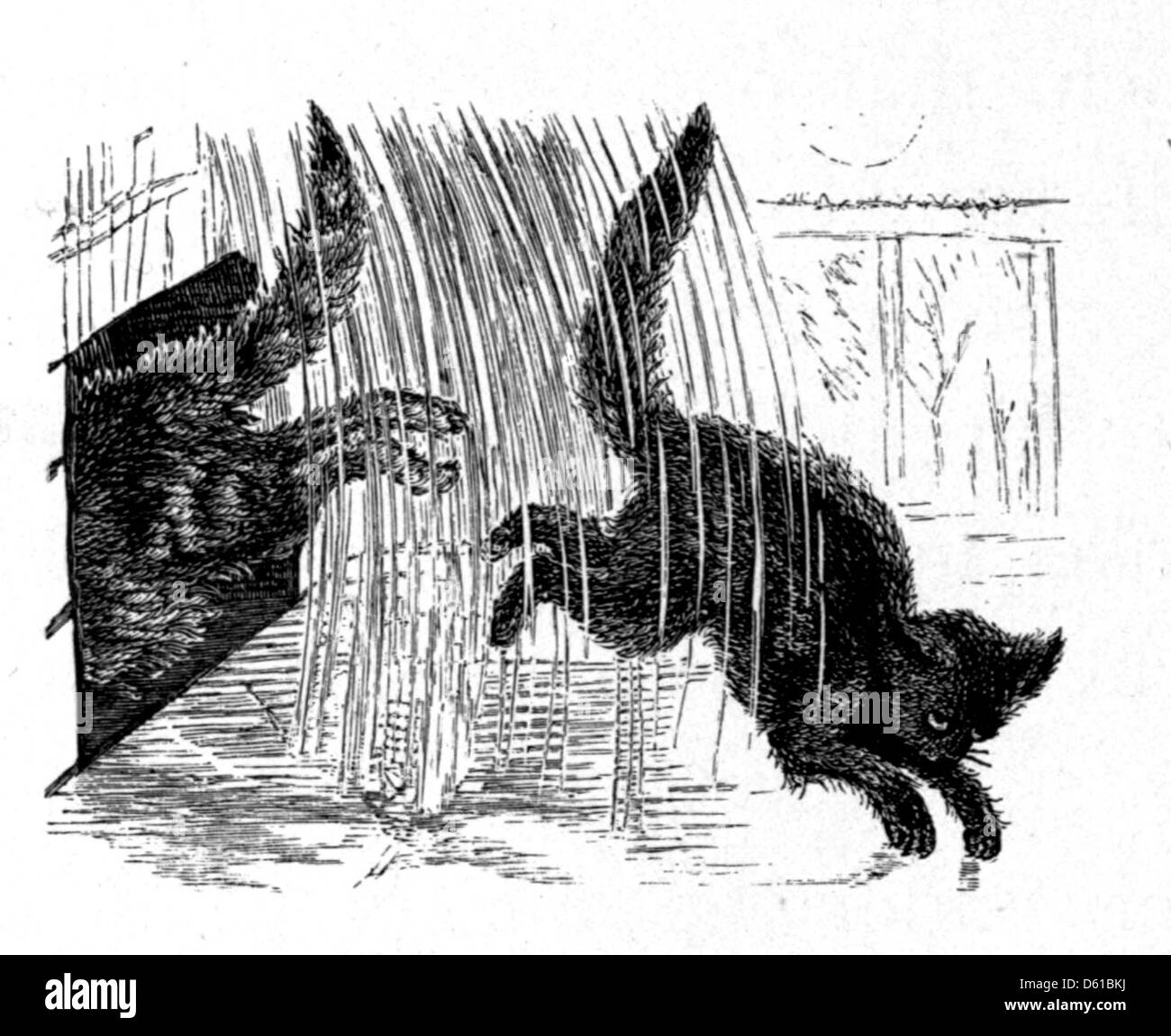 Eine Illustration aus „Letters from a Cat“, die eine neugierige Katze zeigt, die sich mit Briefschreiben beschäftigt und die skurrile Natur dieses klassischen Kinderbuchs feststellt. Stockfoto