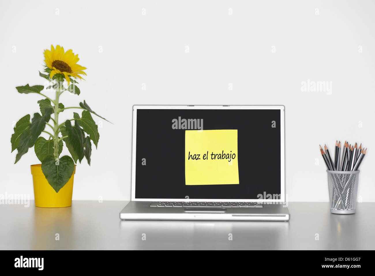 Sonnenblumen Pflanze Schreibtisch klebrig Briefpapier spanischen Text Laptopbildschirm sagen "Haz el Trabajo" (arbeiten) Stockfoto