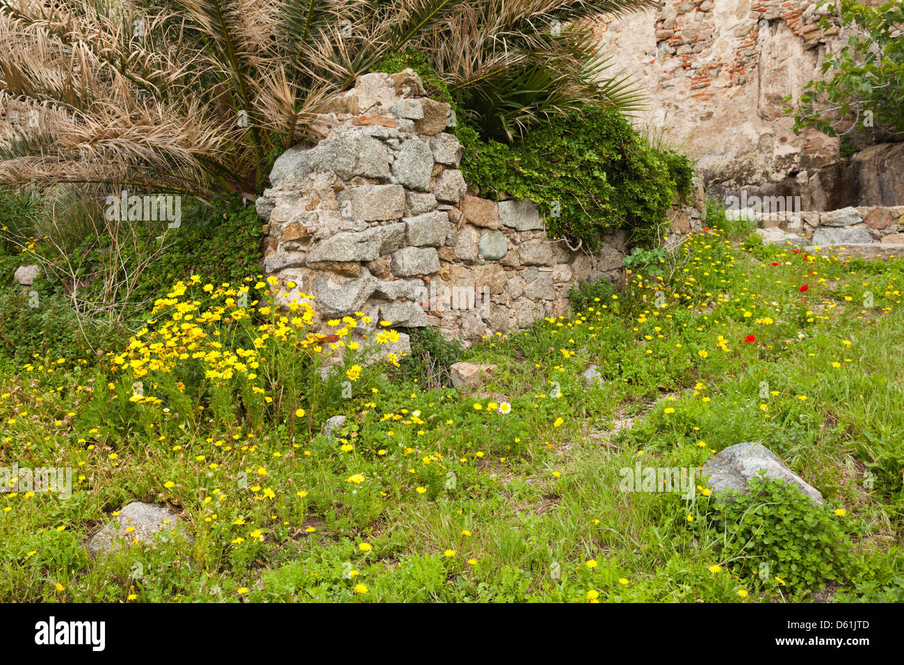 Frankreich, Korsika, La Balagne, Calvi, Zitadelle, Ruinen der Haus-Geburtsort von Christopher Columbus Stockfoto