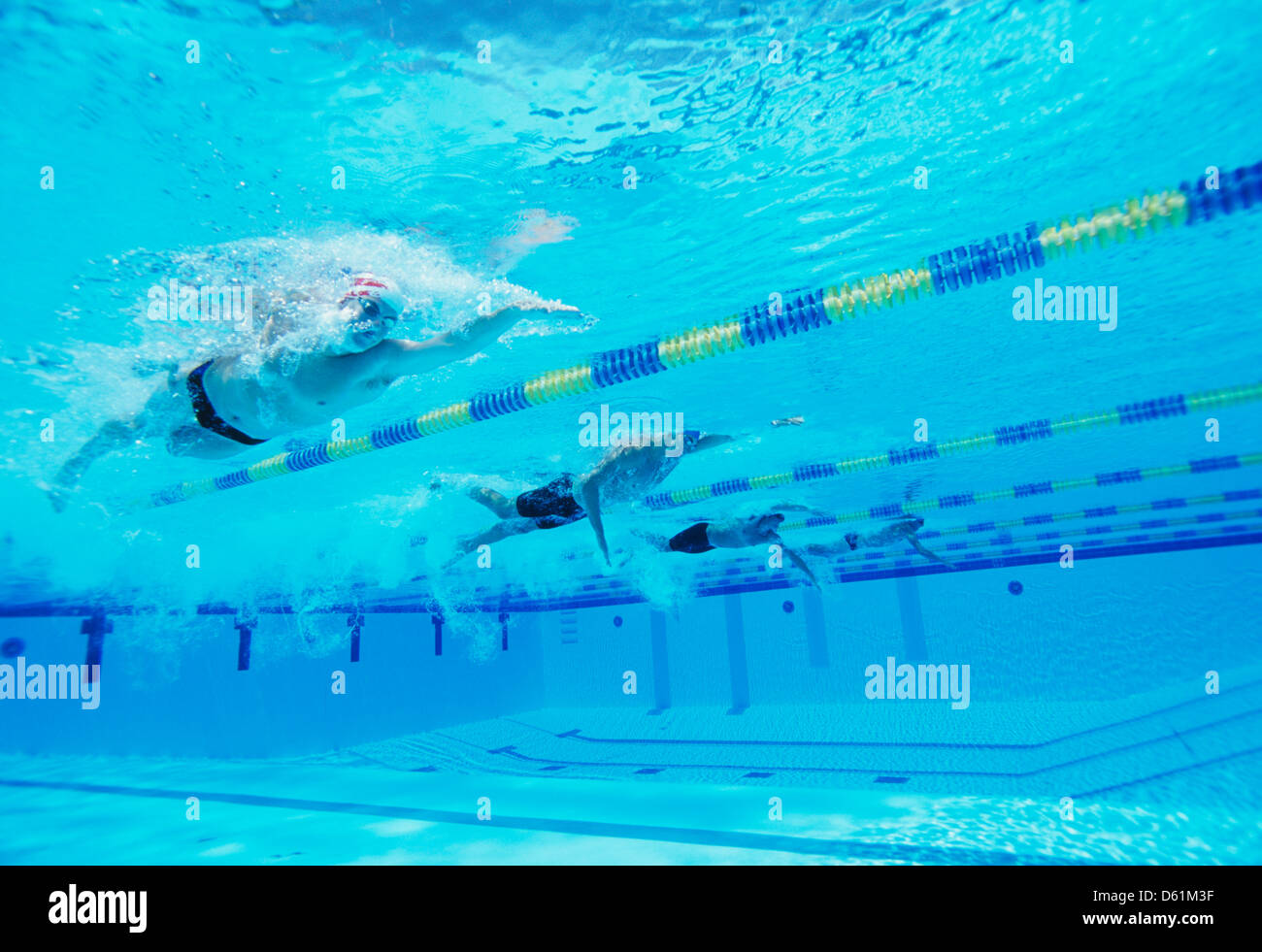 Unterwasser Foto von vier männlichen thleten konkurrieren im Schwimmbad Stockfoto