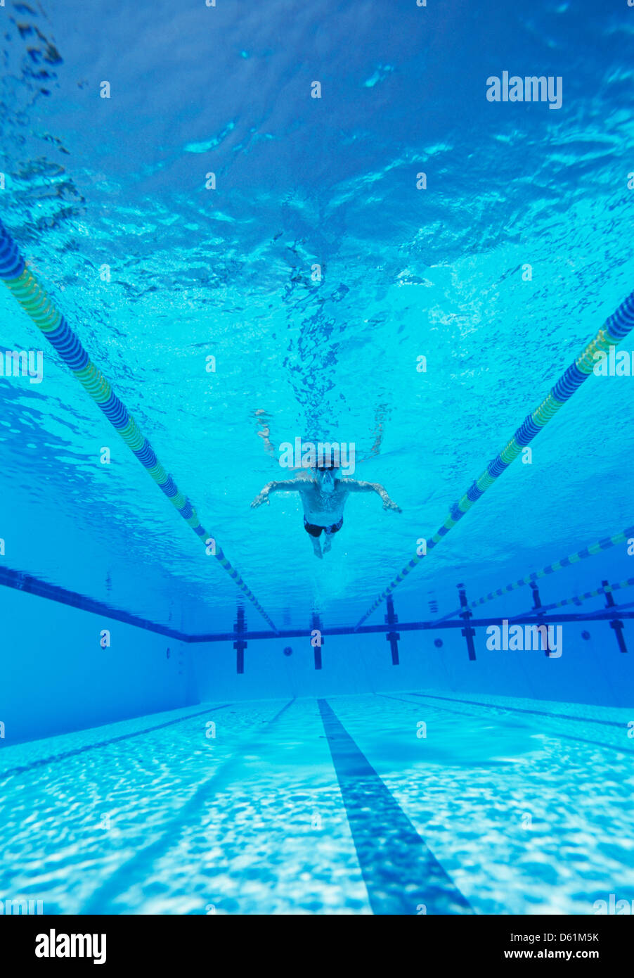 Unterwasser Foto von männlichen Thlete im pool Stockfoto