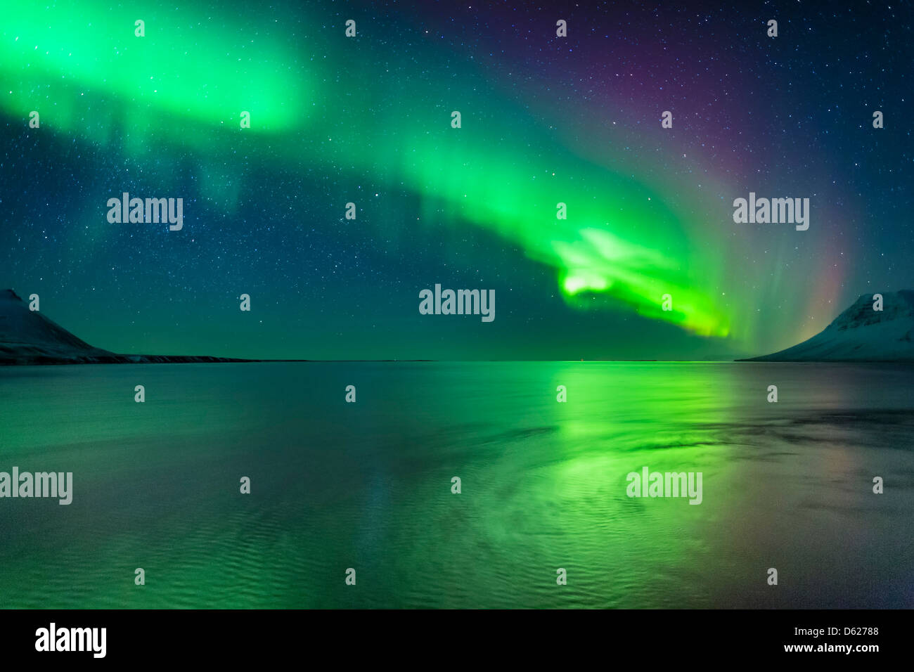 Aurora Borealis oder das Nordlicht, Kolgrafarfjordur, Snaefellsnes Halbinsel, Island Stockfoto