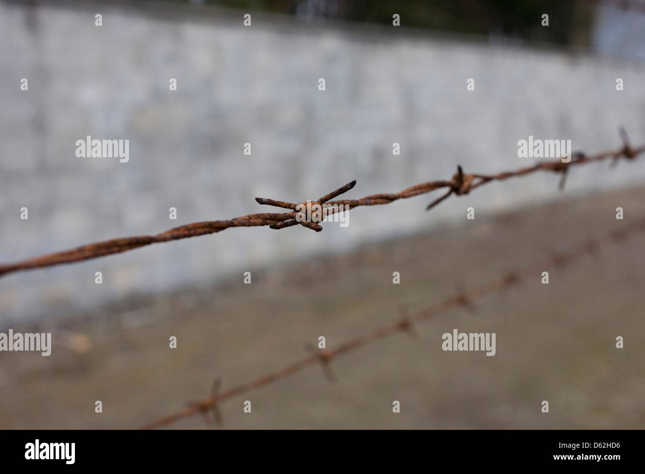 Spulen aus rostendem Stacheldraht im Winter Schnee Form eine Umzäunung in der Nazi- und sowjetischen Sachsenhausen Konzentrationslager, jetzt bekannt als die Mahn-und Gedenkstätte Sachsenhausen und Museum. Sachsenhausen war ein Nazi-Konzentrationslager in Oranienburg, 35 Kilometer (22 Meilen) nördlich von Berlin, Deutschland, vor allem für politische Gefangene aus dem Jahr 1936 bis zum Ende des Dritten Reiches im Mai 1945 verwendet.  (Weitere Titel in Beschreibung). Stockfoto