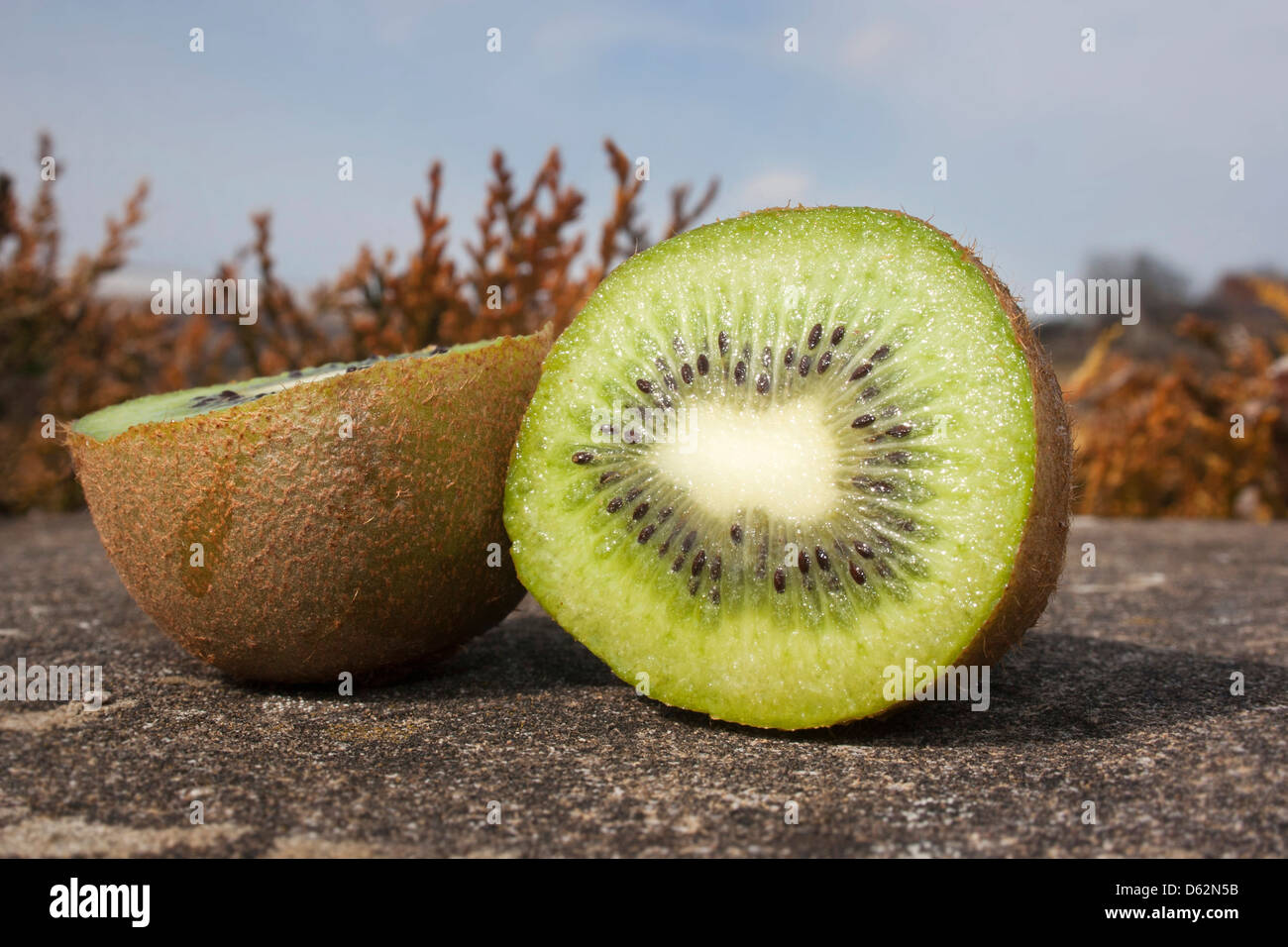 Kiwifrucht zerhackt Stockfoto