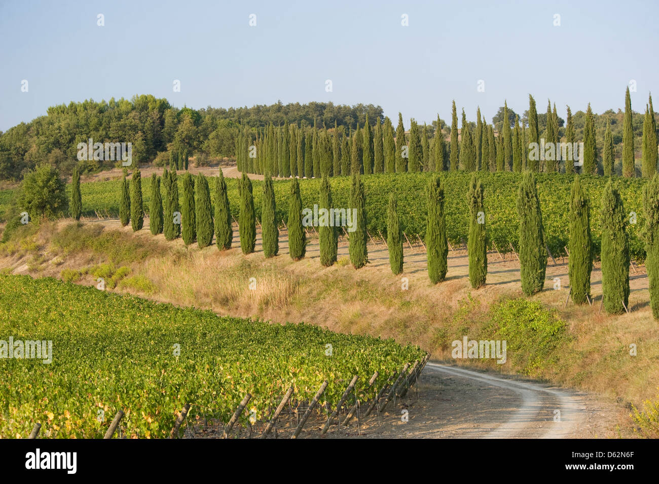 Das Weingut der Winzer Poggio Antico in der Nähe von Montalcino, Toskana, Italien Stockfoto