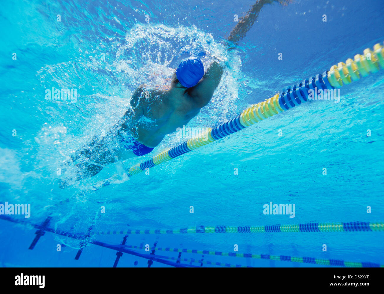 Junge professionelle männliche Thlete Rücken im Schwimmbad zu tun Stockfoto