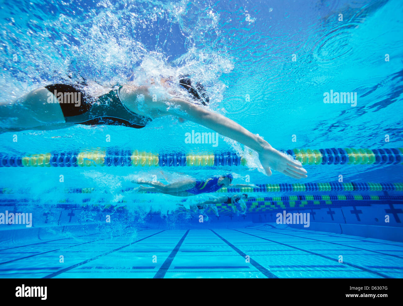 Vier weibliche Schwimmer racing zusammen im Schwimmbad Stockfoto