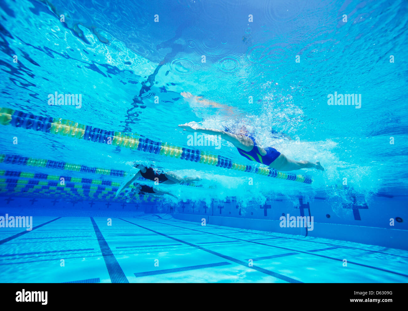 Gruppe von weiblichen Schwimmer racing zusammen im Schwimmbad Stockfoto