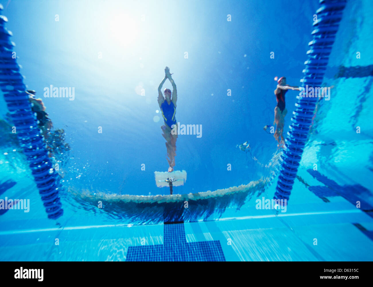 Blick auf weibliche Schwimmer Tauchen im Schwimmbad Stockfoto