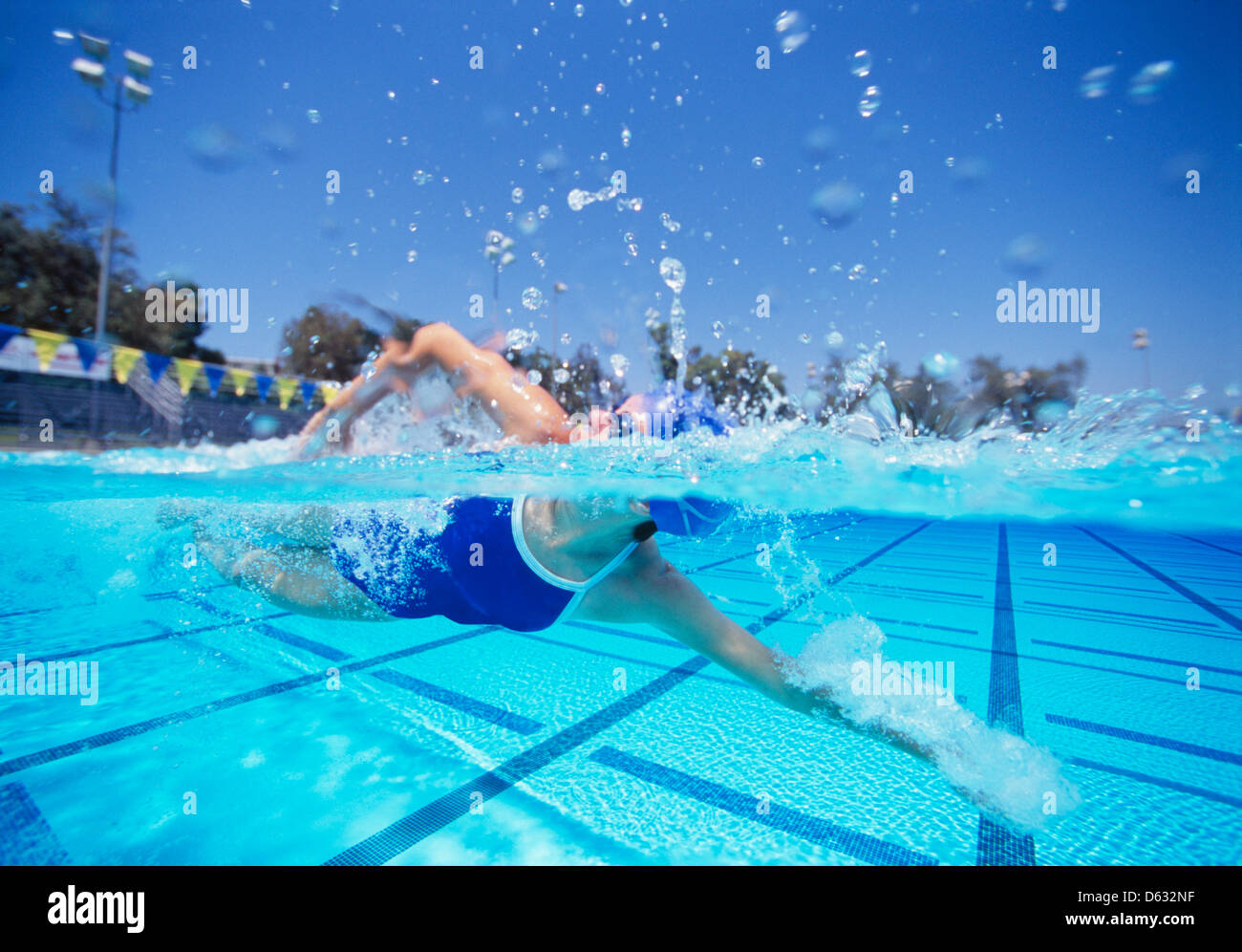 Weibliche Schwimmer in Vereinigten Staaten Badeanzug schwimmen im pool Stockfoto