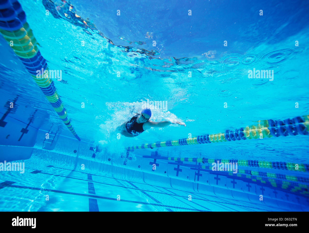 Junge weibliche Schwimmer im Wettbewerb Stockfoto
