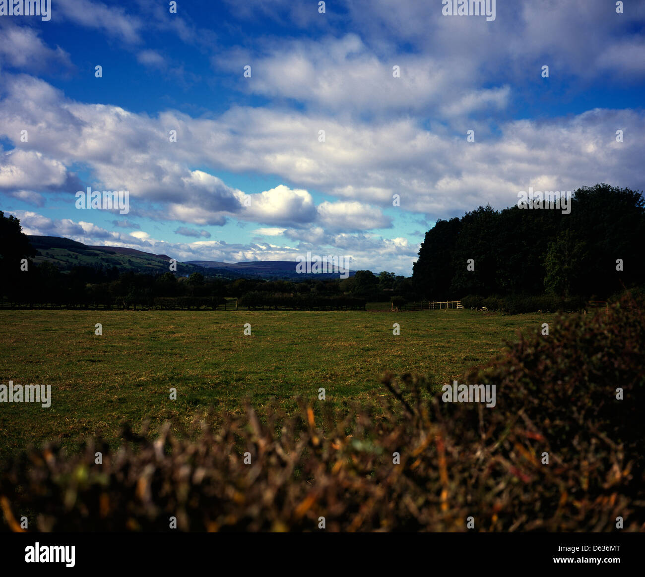 Cloud-streaming über Wensleydale betrachtet aus Weiden in der Nähe von Thornton Steward Herbst Wensleydale Yorkshire England Stockfoto